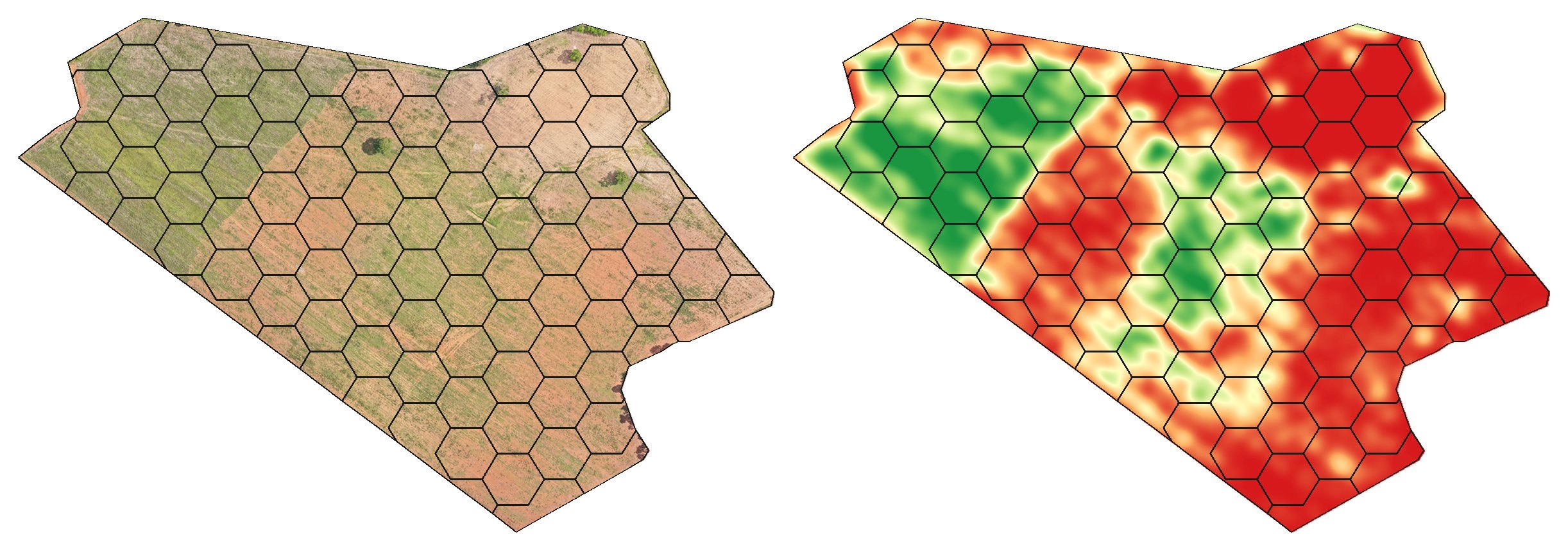 Ortofoto do talhão e mapa de densidade vegetal, lado a lado, com a grade de células