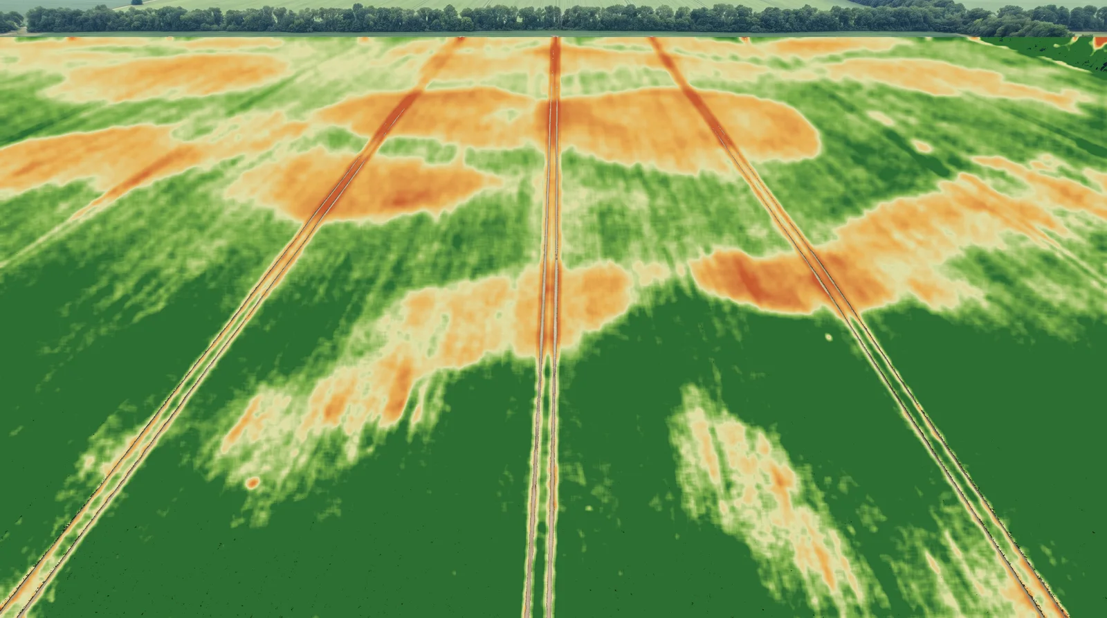 Vegetation index map of the same field